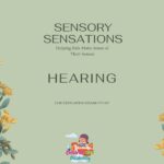 Sensory Sensations - Hearing