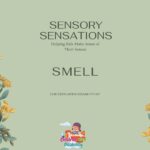 Sensory Sensations - Smell